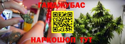 индика Аргун