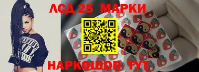 индика Аргун