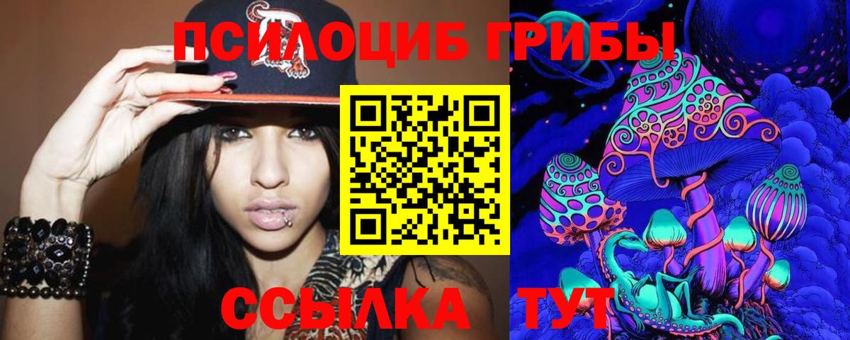 Галлюциногенные грибы Cubensis  Березники 
