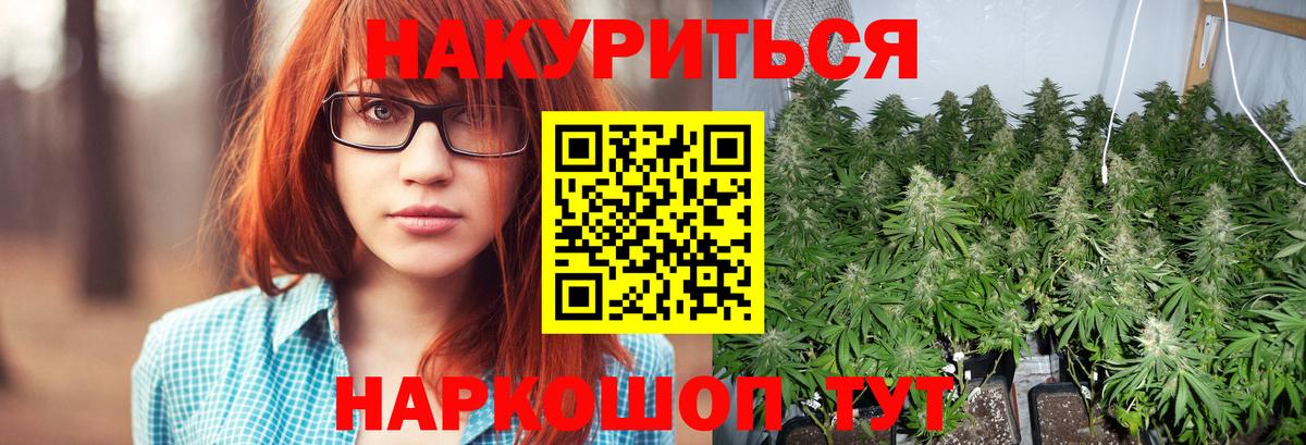 Конопля Amnesia  Березники  Конопля Amnesia 